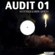 Audit 01 Single