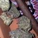 Trolly Troll Single