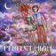 Perfect High feat Natel Single
