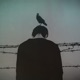 Freedom Single