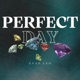 PERFECT DAY Single
