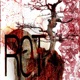 ROMANCE Single