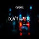 Don t Waste feat Shamil Single