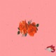 I m Sorry Baby feat Betinho Daggas L9 Single