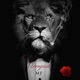 Arrogant MF Single