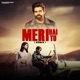 Meri Hai Tu feat Fiza Choudhary Remix Single