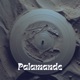 Palamande Single