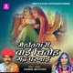 Medtiya Ri Bai Chitod Gadh Parnai Single