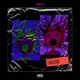 Voices EP