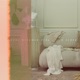 Dar Vida B Sides EP