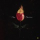 Pam Morrison Single