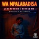 Wa Mpalabadisa feat Sabetha Single