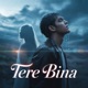 Tere Bina Single