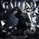Gallino Single