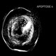 Apoptose 4 EP