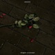 finger crossed Single