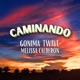 Caminando feat Twave Melissa Calderón Single
