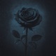 black rose Senkya Remix Single