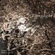 Lamplight Single