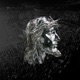 That s Who I Praise Live Single
