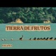 Tierra de frutos Demo Single