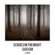 Echoes In The Night Single