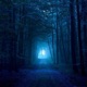 Lucid Dreaming Single