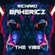 The Vibe Single