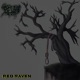 Red Raven Single