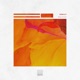 Resilience Single