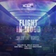 Flight in Mood Incl Hallex M Remix