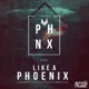 Like a Phoenix feat Harley Bird Single
