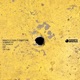 Hominid EP