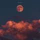 Moon Single