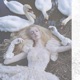 Sweet Swan EP