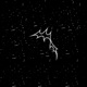 Scars Single