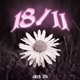18 11 Single