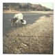Disappear Single