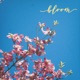 bloom feat Offscale Single