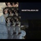 Nostalgia 22