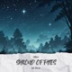 SHROUD OF FATES feat Tirnexor Single