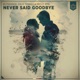 Never Said Goodbye Radio Edit Single