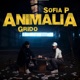 Animalia Single