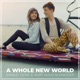 A Whole New World Single