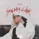 Sneaky Link Single