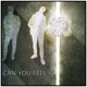 Can You Feel It feat Miles Schon Michael Shapiro Single