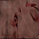 the living blood sacrifice Single
