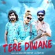 Tere Diwane Single
