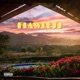 Flawless feat Nexus za Single