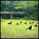 Kiku Chill Out EP